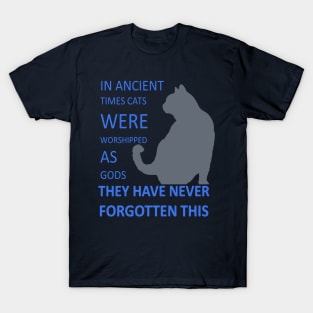 In Ancient Times Cats Were Worshipped As Gods v4 T-Shirt